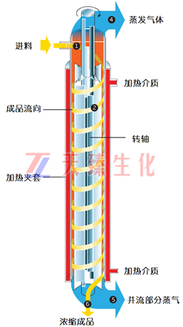 1691740612621478.jpg 1691740589946.jpg